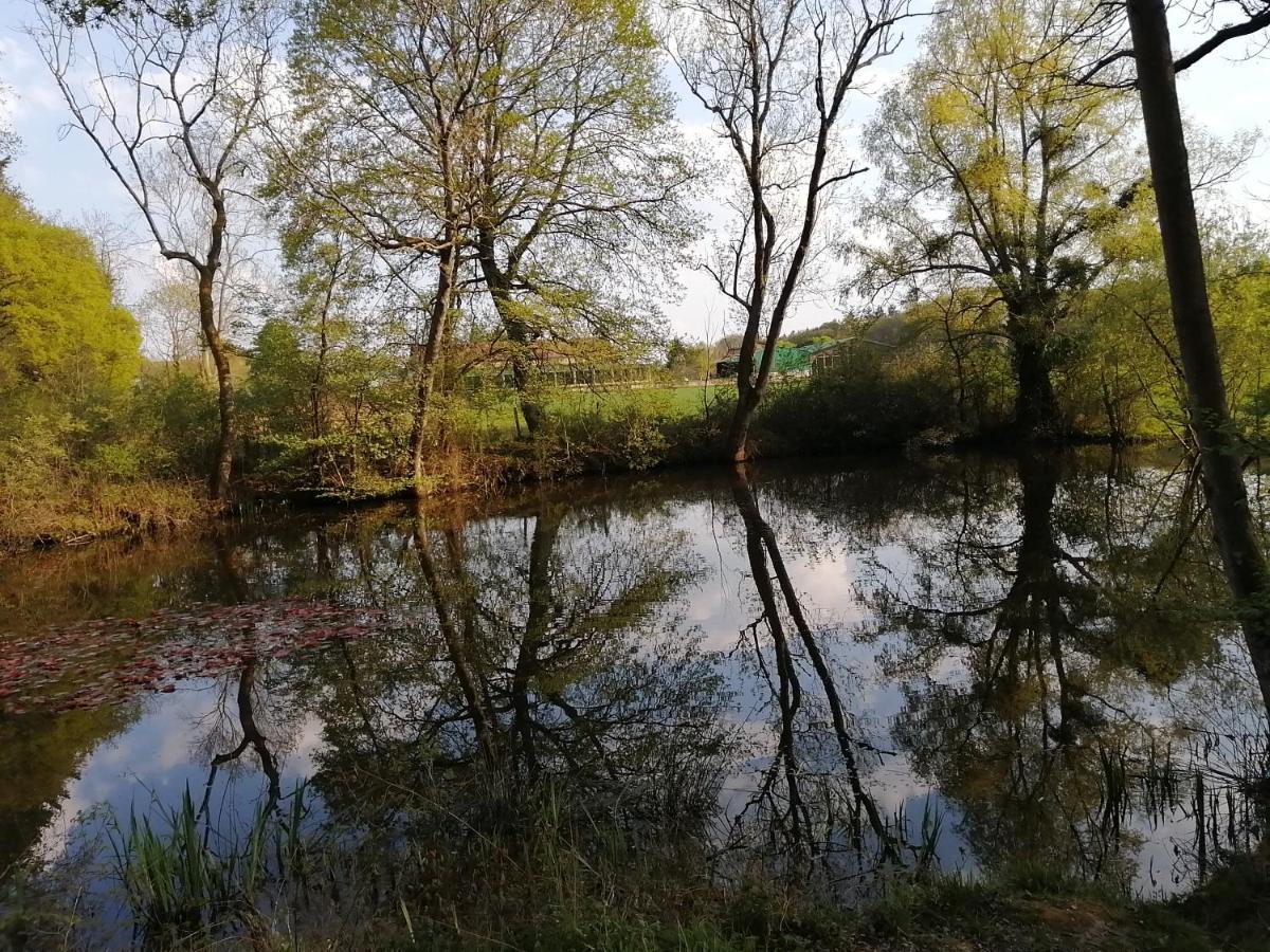 Forest Farm *
