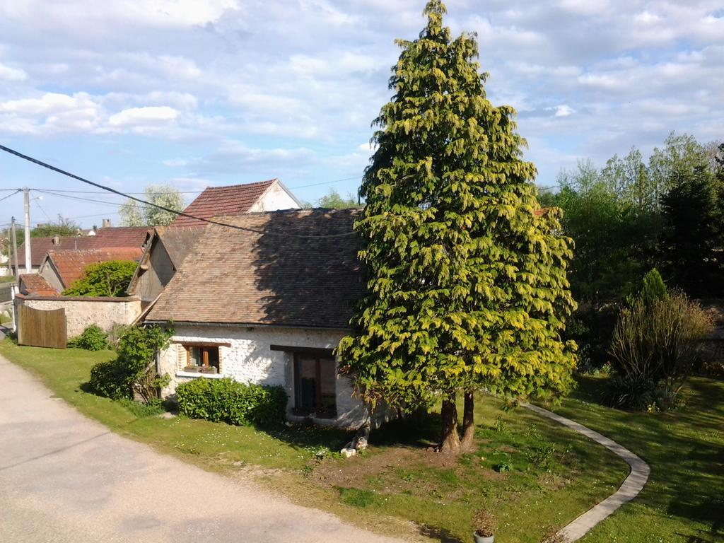 Forest Farm