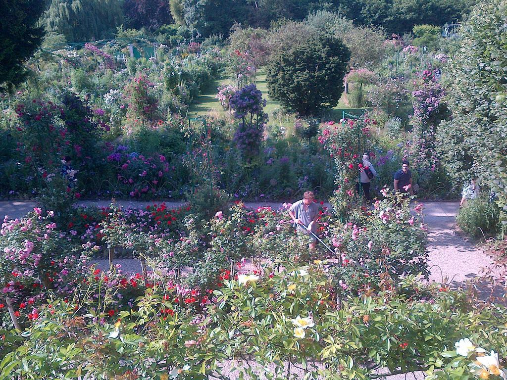 Forest Farm