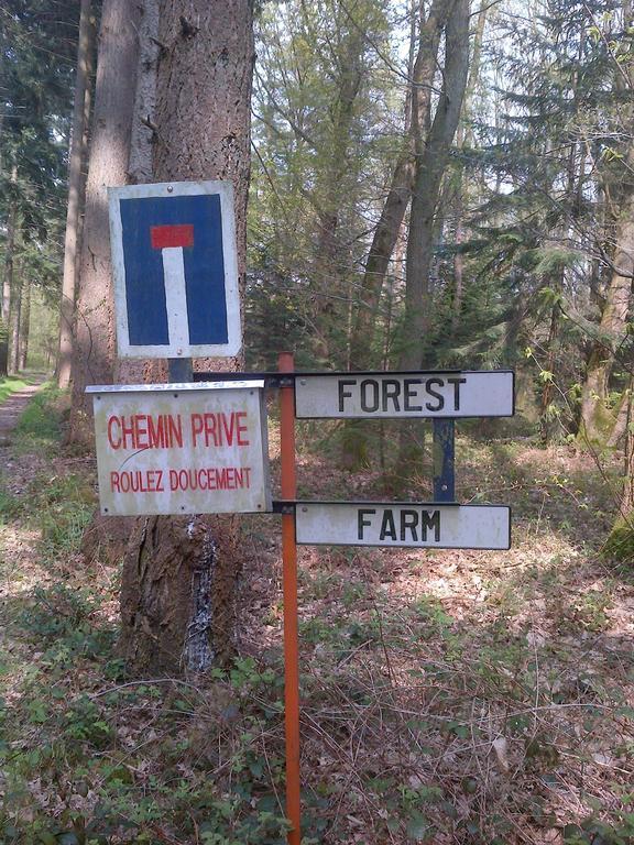 Bed & Breakfast Forest Farm *
