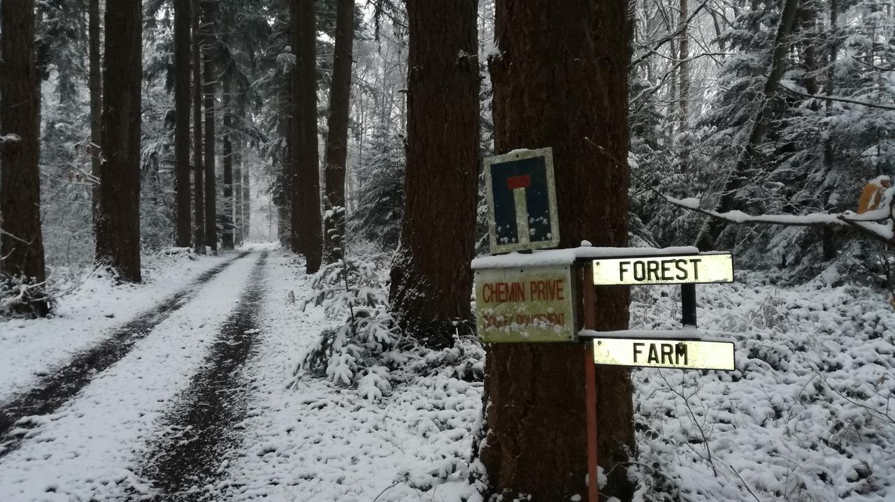 Forest Farm Frühstückspension Bois-Jerome-Saint-Ouen